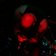 kheavy0911_069