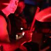 ./mantis/mant_rocks1212_28.jpg